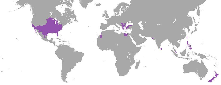 byzantiummap-territories.jpg